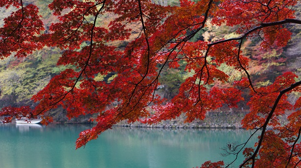 automne japon