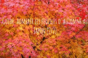 Lire la suite à propos de l’article Guide: admirer les feuilles d’automne au Japon (2/2)