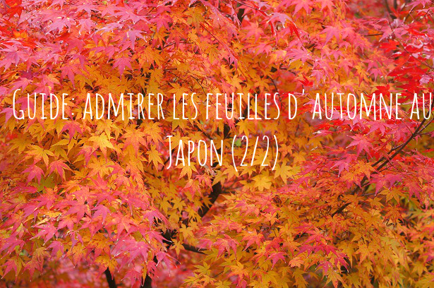 You are currently viewing Guide: admirer les feuilles d’automne au Japon (2/2)